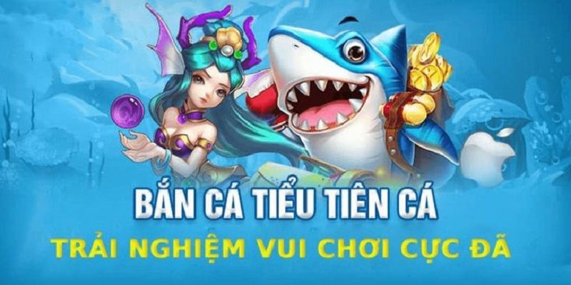 ban-ca-tieu-tien-vu-khi